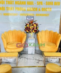 Bộ ghế nail hình võ sò nhung vàng