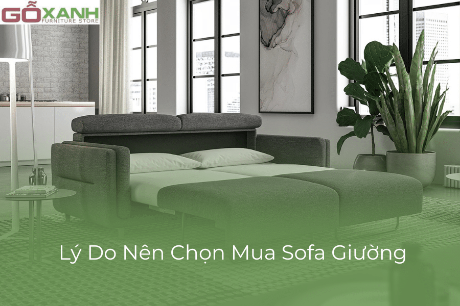 mua sofa giường